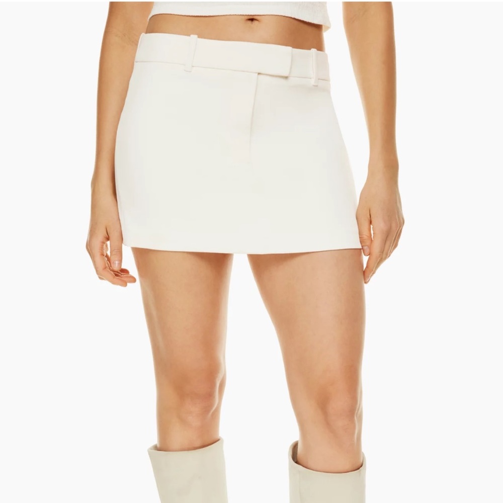 Aritzia Wilfred Visual Skirt